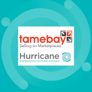 Hurricane Tamebay Webinar
