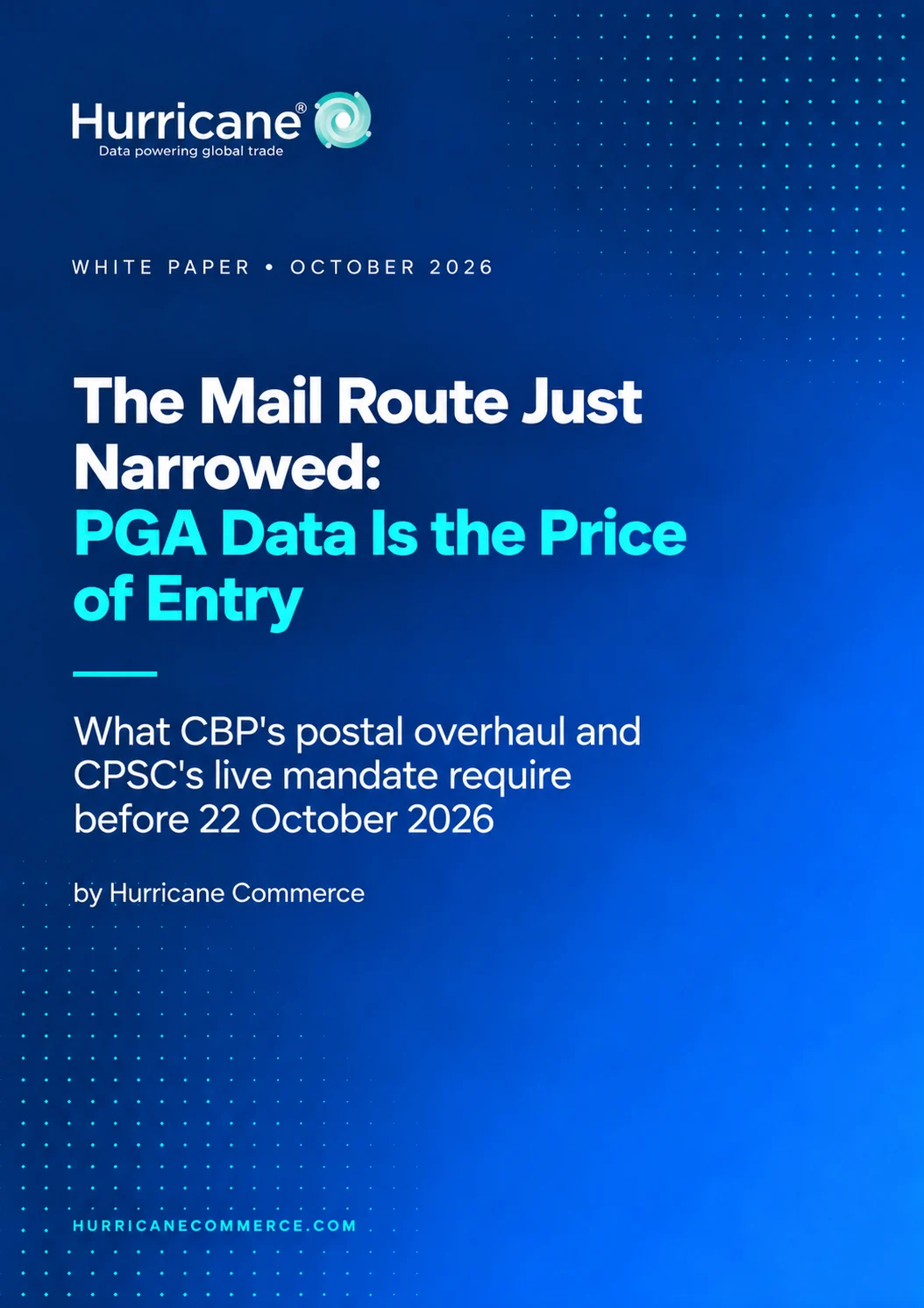 Product Identifiers white paper preview